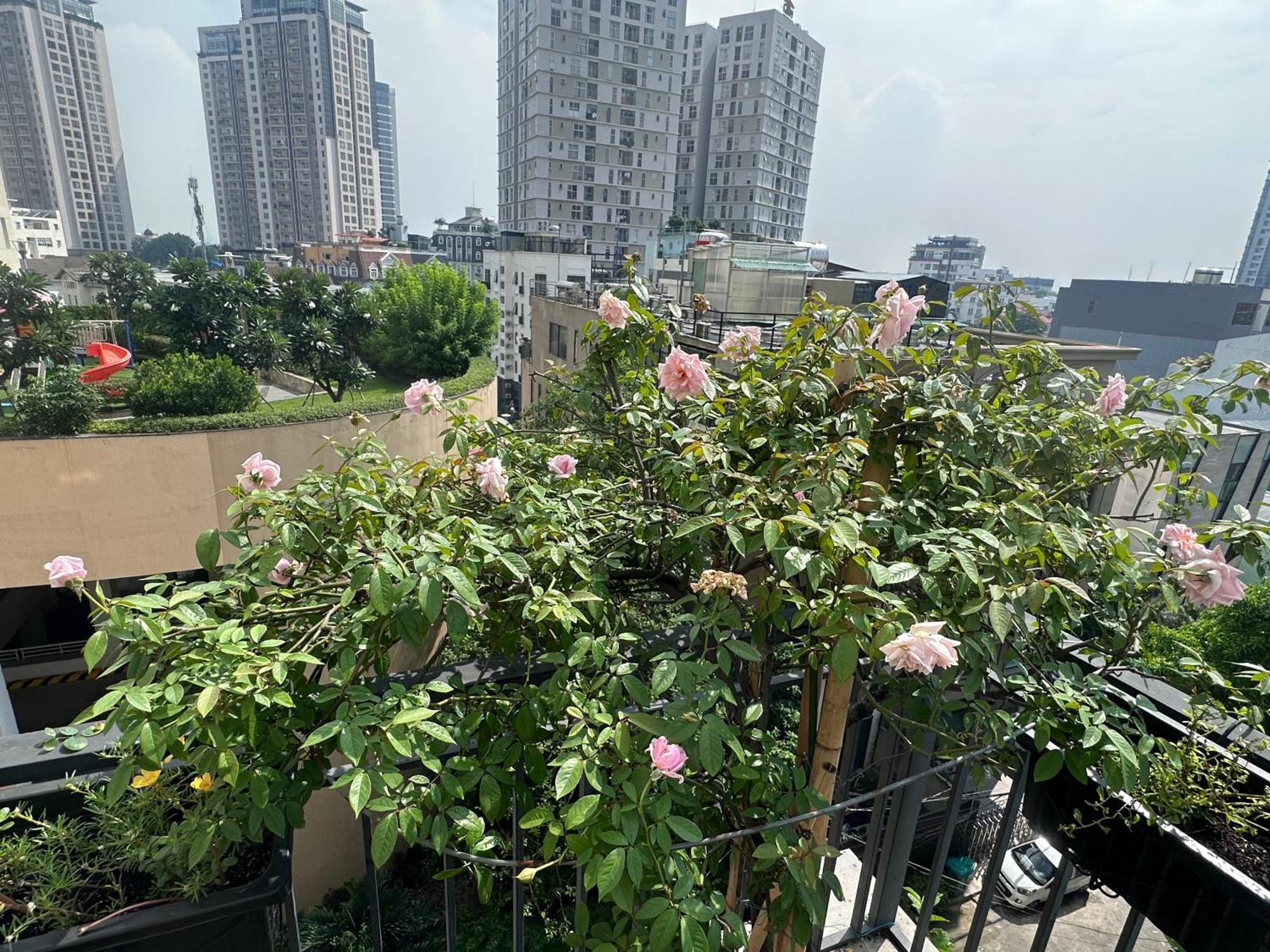 Homey Apartment TP. Hồ Chí Minh Ngoại thất bức ảnh
